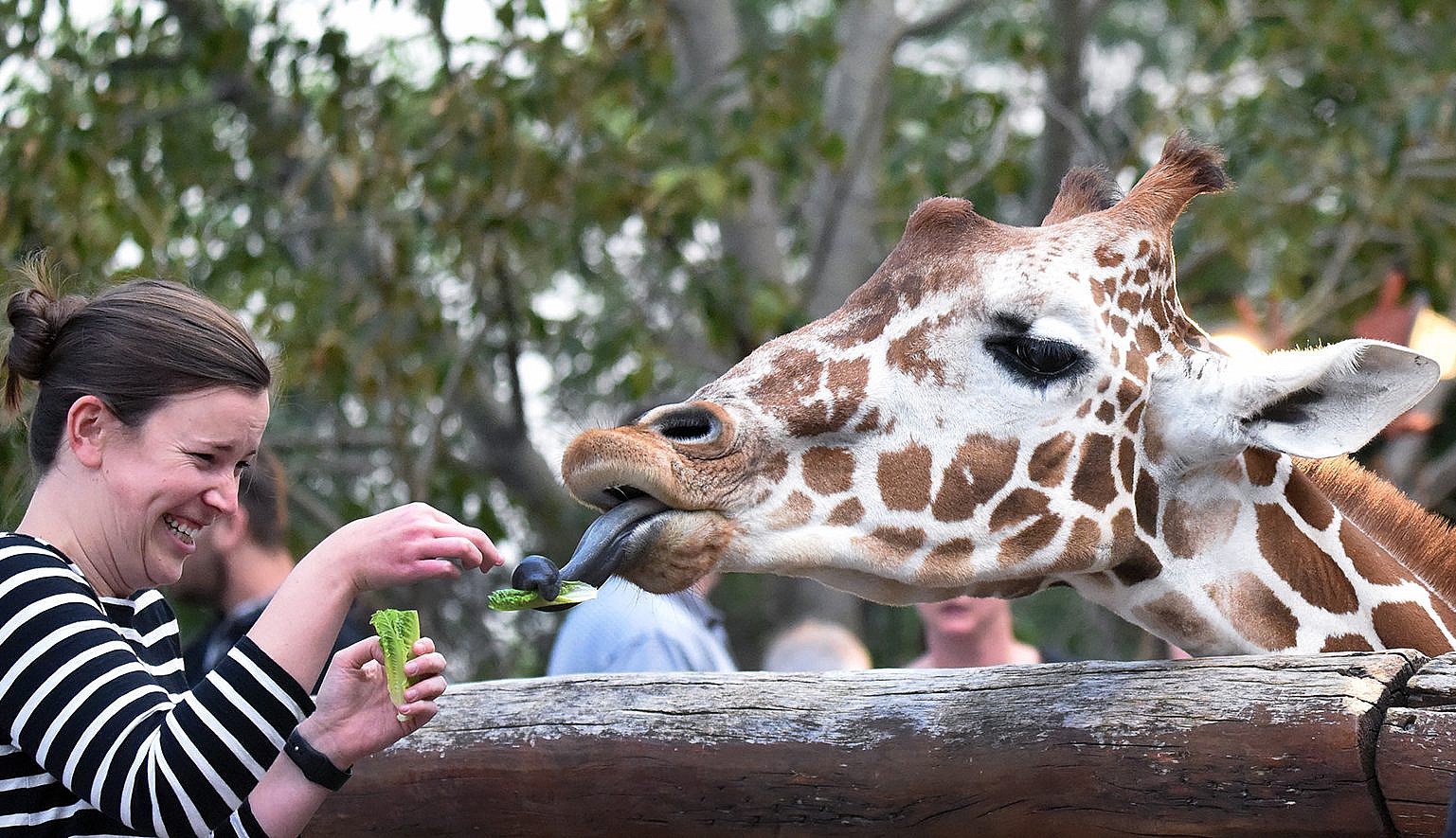 Cheyenne Zoo Cheyenne Zoo